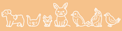 Pet Stuff - Home