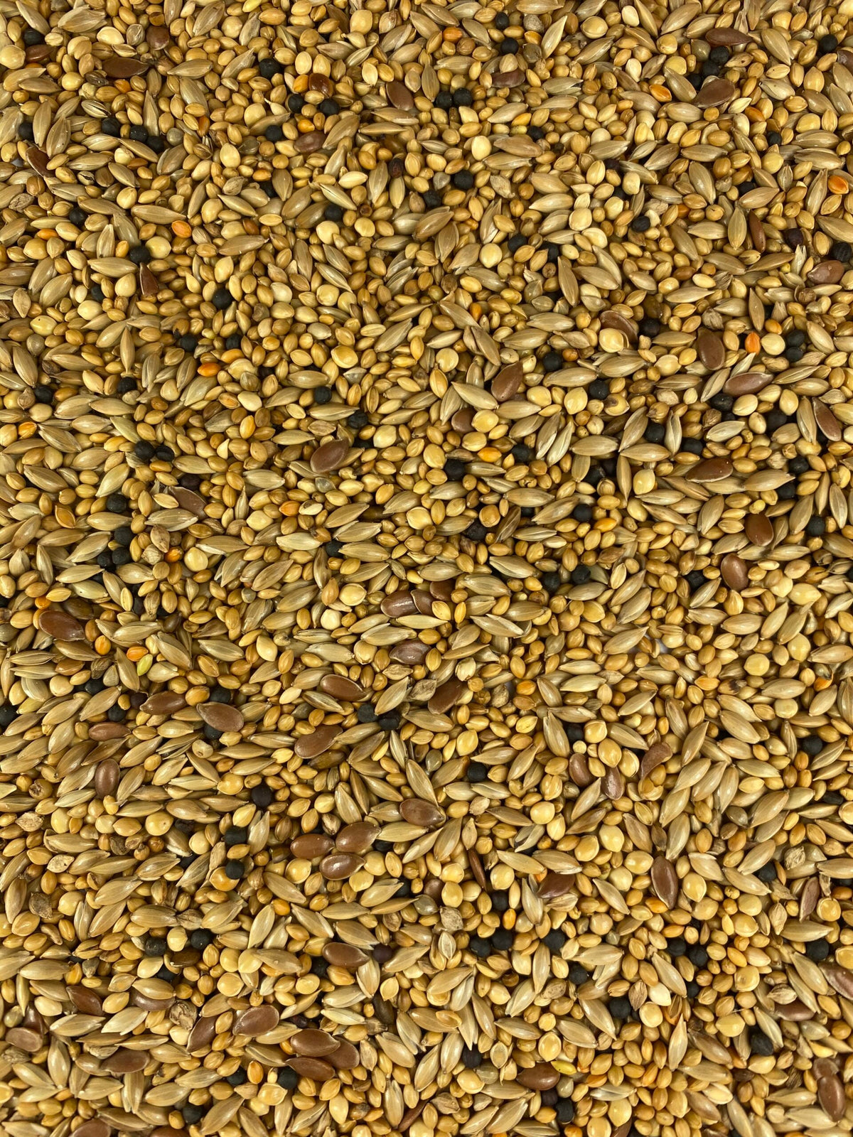 Finch Mix