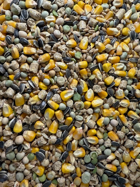 Pigeon Mix 10kg