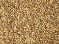 Budgie Seed