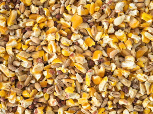 Dove Mix Per Kilogram