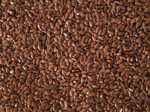 WHOLE Linseed Per Kilogram