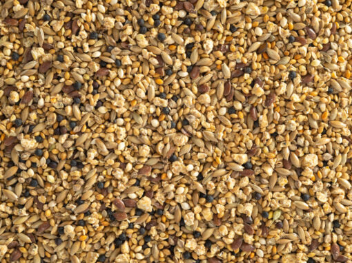 Quail Mix 2kg
