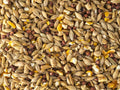 Lucky Duck Food 10kg
