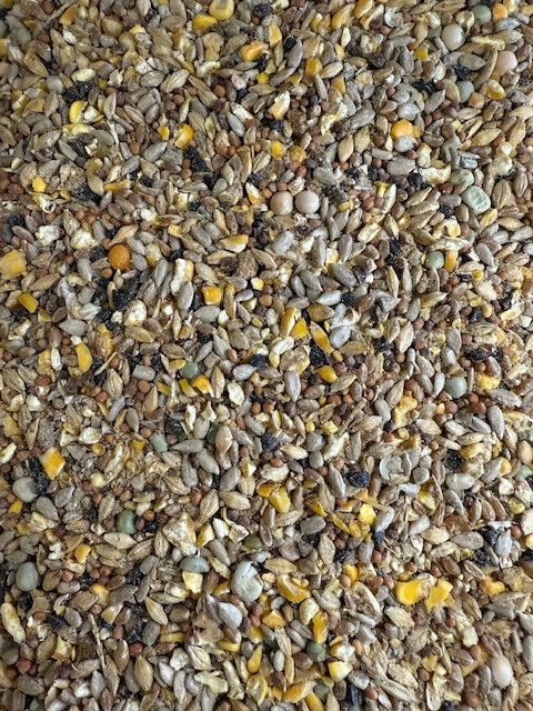Wild Bird Brew